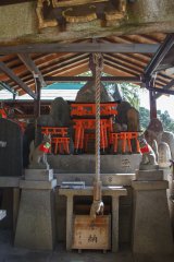 48-Fushimi Inari